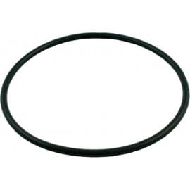 Chlorinator Viton O-ring - Pool Supplies Canada Image