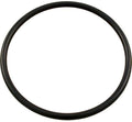 Ed2 | Millivolt Flange O-rings - Pool Supplies Canada Image