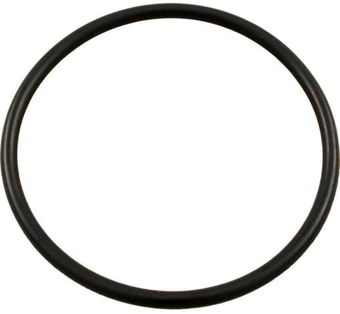 Ed2 | Millivolt Flange O-rings - Pool Supplies Canada Image