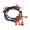 Automatic Ignition Module for H-series Heaters - Pool Supplies Canada Image