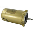 Replacement 1.5 HP Pump Motor - Pool Supplies Canada Image