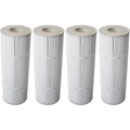 Swimclear C3030 Element (4 Pack) - Pool Supplies Canada Image