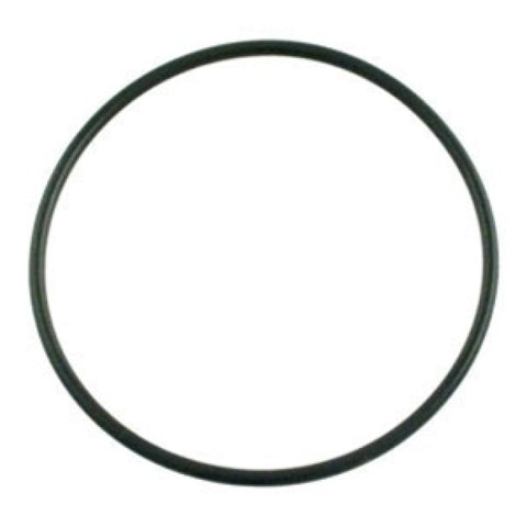 Matrix Strainer O-ring - Pool Supplies Canada Image