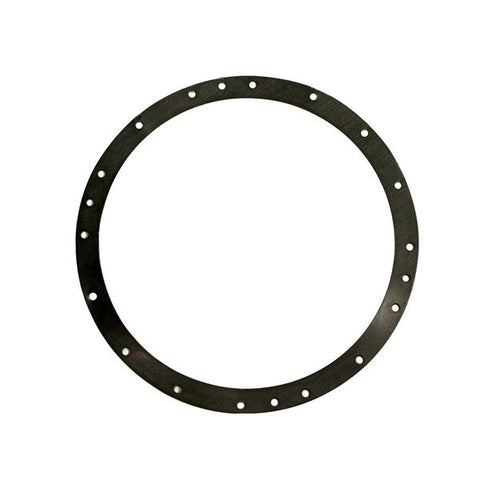 Proseries Niche Gasket Set - Pool Supplies Canada Image