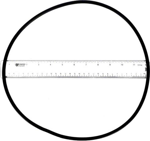 O-ring - Poolweb Image