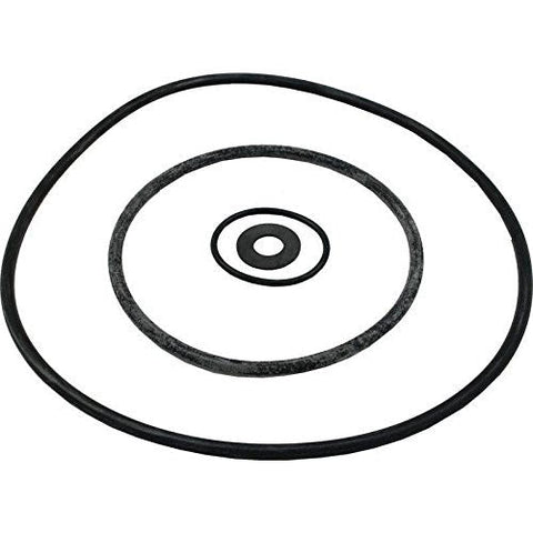 Parts-paks™Seal/gasket Kit for Pe; Pea; P2r; P2ra (models Without Copper Insert Beginning 1998) - All HP Pump - Poolweb Image