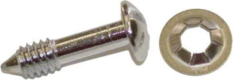 Face Rim Lockscrew with Washer for Sp0500; Sp0501; Sp00502 Sealed Beam Series; Sp0503 (400w; 120v); Sp0504 (500w; 110v) - Poolweb Image