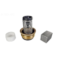 Asme Mastertemp Bypass Valve Kit (before 10/2012) - Pool Supplies Canada Image