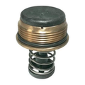 Asme Mastertemp Bypass Valve Kit (before 10/2012) - Pool Supplies Canada Image