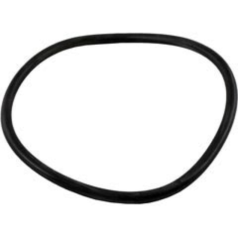 Backplate O-ring for Jandy®Flopro™Fhpm Series Pumps - Pool Supplies Canada Image