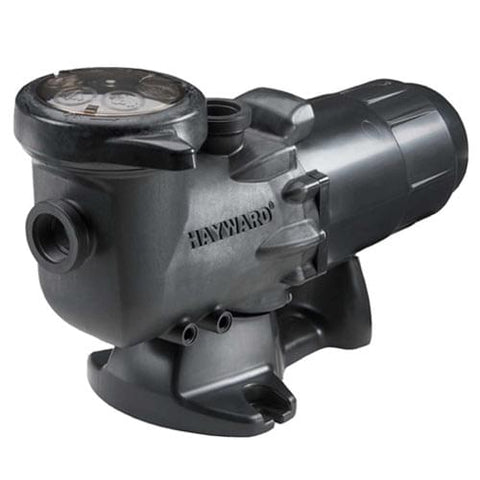 Turboflo II 1.5 HP 2-speed W/ Timer Pool Pump - Pool Supplies Canada Image 1