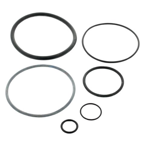 O-ring Replacement Kit for Cv340/460/580; Cl340/460/580; Dev48/60; Del48/60 Filters - Pool Supplies Canada Image